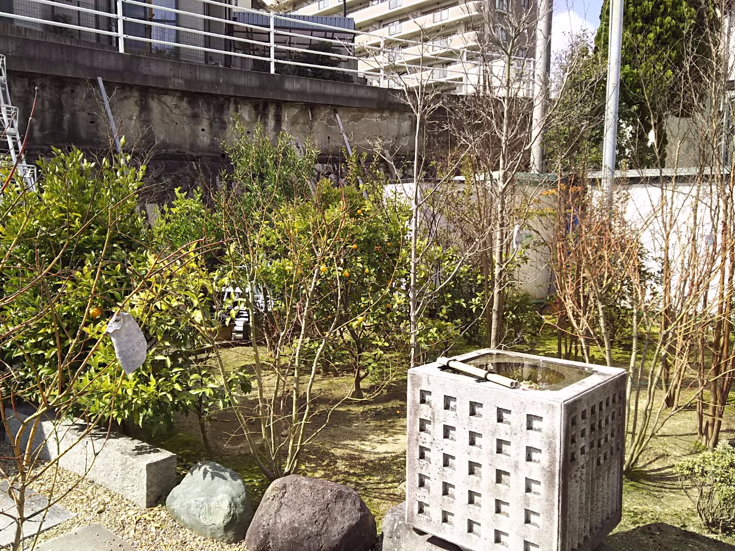 植木の販売 新家造園緑化 外構 造園 エクステリア 奈良県生駒市